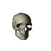 skeletons 5