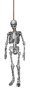 skeletons 6