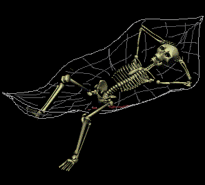 skeletons 12