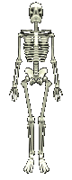 skeletons 1