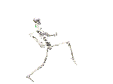 skeletons 3